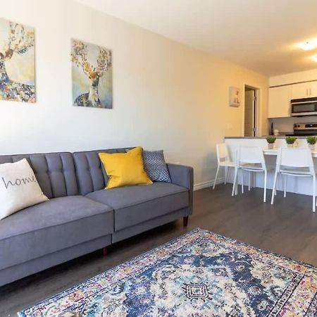 Newly Renovated Modern Condo Near Hospital, Unb Patio & Parking Coffee 세인트존 외부 사진