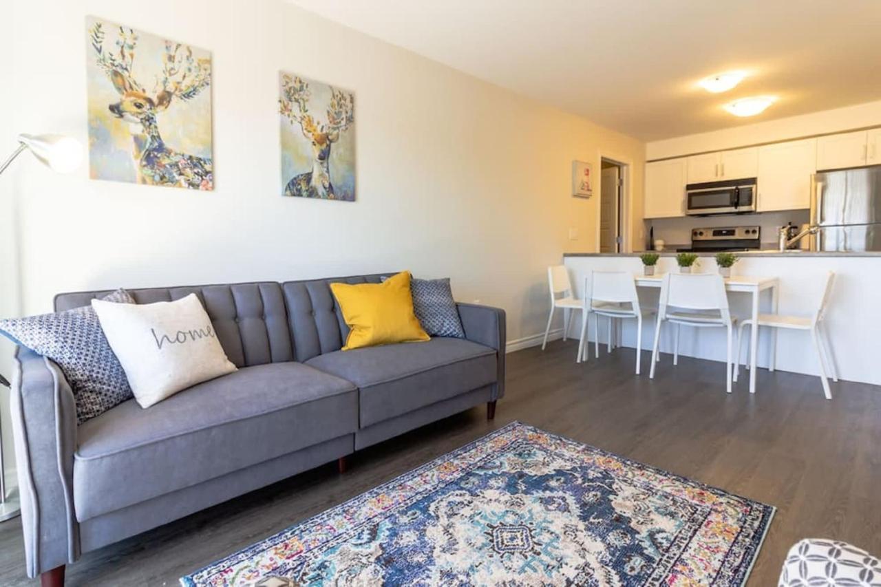 Newly Renovated Modern Condo Near Hospital, Unb Patio & Parking Coffee 세인트존 외부 사진