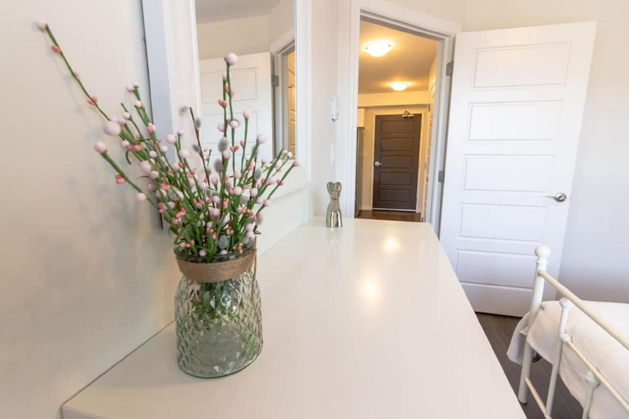 Newly Renovated Modern Condo Near Hospital, Unb Patio & Parking Coffee 세인트존 외부 사진