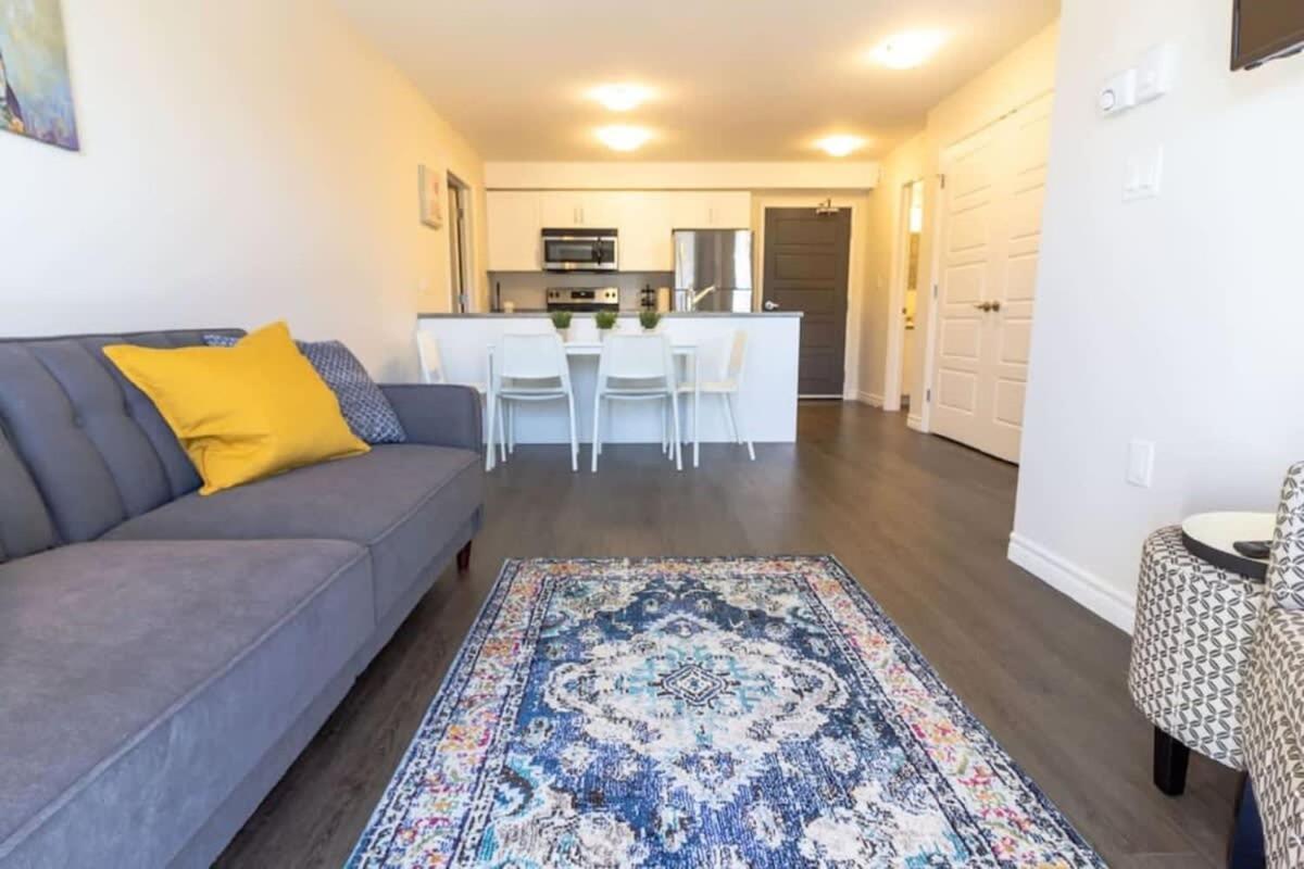 Newly Renovated Modern Condo Near Hospital, Unb Patio & Parking Coffee 세인트존 외부 사진
