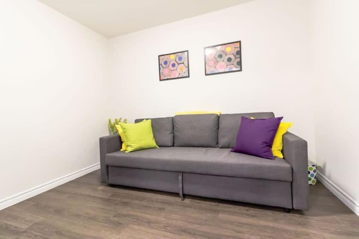 Newly Renovated Modern Condo Near Hospital, Unb Patio & Parking Coffee 세인트존 외부 사진