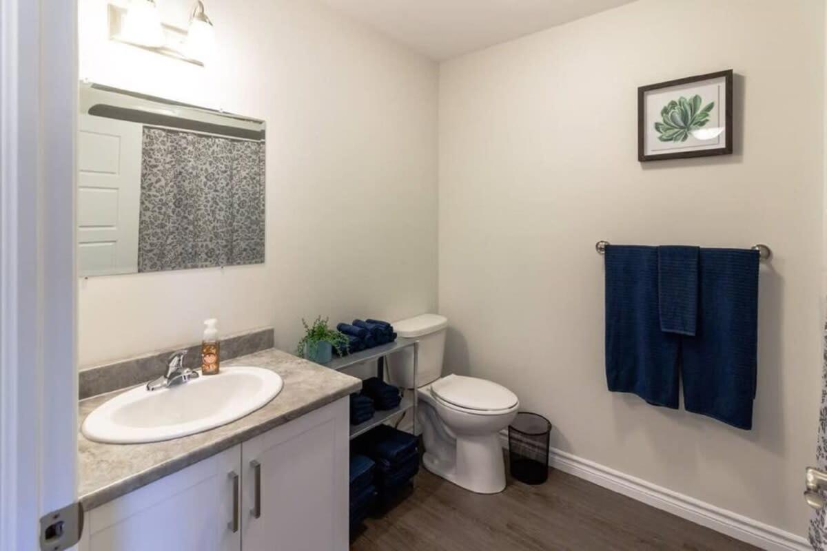 Newly Renovated Modern Condo Near Hospital, Unb Patio & Parking Coffee 세인트존 외부 사진