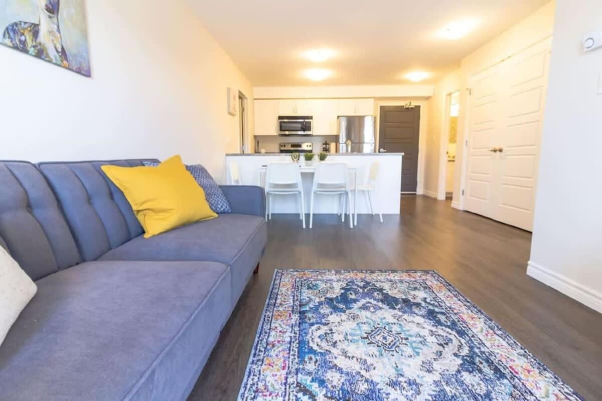 Newly Renovated Modern Condo Near Hospital, Unb Patio & Parking Coffee 세인트존 외부 사진